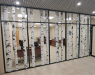 Оформление офиса. Пленка Orajet прозрачная матовая